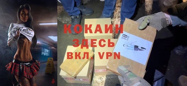 твердый Сосновый Бор