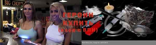 индика Сосновка
