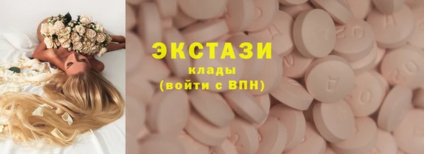 индика Сосновка