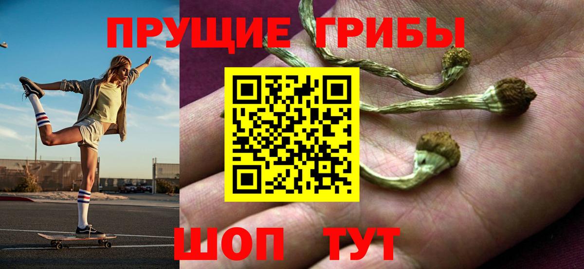 Псилоцибиновые грибы прущие грибы Алексин